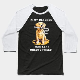 In my defence I was left unsupervised, yellow lab dog has ripped a U-pipe from under the sink funny graphic t-shirt. Baseball T-Shirt